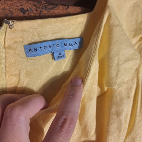 ANTONIO MELANI Size 6 Yellow Sleeveless Dress - Picture 3 of 5